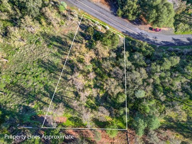 Beautiful lake-view parcel located near the Kiva boat launch on The Club at Copper Valley Golf Course in California - for sale on GolfHomes.com, golf home, golf lot