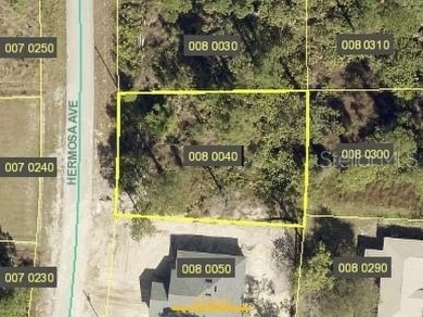Sought After Buildable Lot - This rare vacant lot is an on Mirror Lakes Golf Club in Florida - for sale on GolfHomes.com, golf home, golf lot