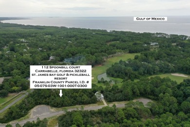 Great price on a building lot in St. James Bay Golf & Pickleball on St. James Bay in Florida - for sale on GolfHomes.com, golf home, golf lot