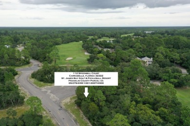 Great price on a building lot in St. James Bay Golf & Pickleball on St. James Bay in Florida - for sale on GolfHomes.com, golf home, golf lot