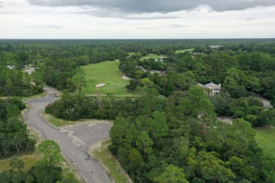 Great price on a building lot in St. James Bay Golf & Pickleball on St. James Bay in Florida - for sale on GolfHomes.com, golf home, golf lot