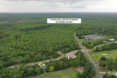 Great price on a building lot in St. James Bay Golf & Pickleball on St. James Bay in Florida - for sale on GolfHomes.com, golf home, golf lot