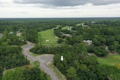 Great price on a building lot in St. James Bay Golf & Pickleball on St. James Bay in Florida - for sale on GolfHomes.com, golf home, golf lot