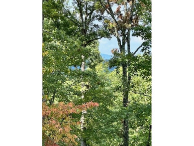 Come and enjoy life at Old Toccoa Farm, where people, lifestyle on Old Toccoa Farm Golf Club in Georgia - for sale on GolfHomes.com, golf home, golf lot