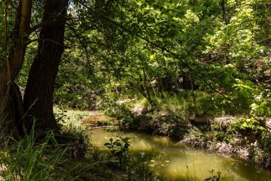 Incredible opportunity to own 6 Creekside acres in the heart of on Scott Schriener Municipal Golf Course in Texas - for sale on GolfHomes.com, golf home, golf lot