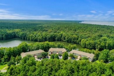 Experience serene lakefront living in this beautifully on Santee-Cooper Country Club in South Carolina - for sale on GolfHomes.com, golf home, golf lot