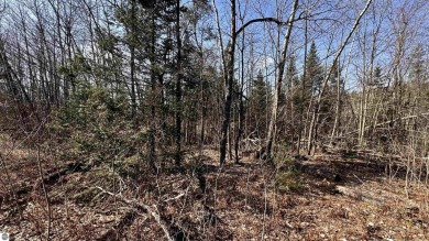 Nice homesite in Lakewood On The Green development. This lot on The Briar South At Lakewood in Michigan - for sale on GolfHomes.com, golf home, golf lot