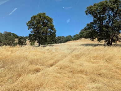 A perfect canvas for your dream home on this beautiful 2.4-acre on The Club at Copper Valley Golf Course in California - for sale on GolfHomes.com, golf home, golf lot