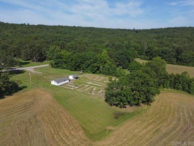 Unique Commercial Property in Batesville City Limits near Eagle on The Course At Eagle Mountain in Arkansas - for sale on GolfHomes.com, golf home, golf lot