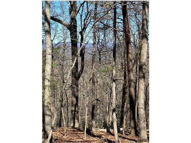 Build the Mountain Life You've Been Dreaming Of in Big Canoe on Big Canoe Golf Club - Cherokee in Georgia - for sale on GolfHomes.com, golf home, golf lot