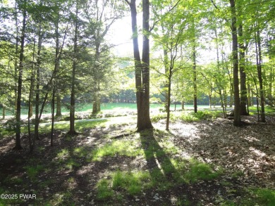 LARGE LAKE WALLENPAUPACK HOME WITH GOLF COURSE VIEWS IN on Paupack Hills Golf and Country Club in Pennsylvania - for sale on GolfHomes.com, golf home, golf lot