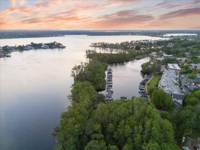 Under contract-accepting backup offers. LOCATION! LOCATION! on Arnold Palmers Bay Hill Club and Lodge  in Florida - for sale on GolfHomes.com, golf home, golf lot