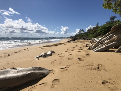 Centrally located on the east side oceanfront of Kauai, Kaha on Wailua Municipal Golf Course in Hawaii - for sale on GolfHomes.com, golf home, golf lot