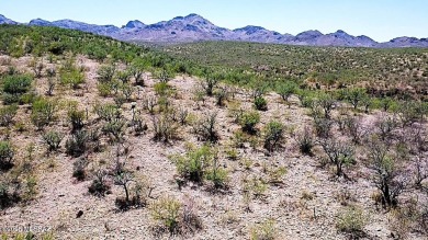 Build your Dream Home on this 4.16 Acre lot with STUNNING on Tubac Golf Resort and Spa in Arizona - for sale on GolfHomes.com, golf home, golf lot