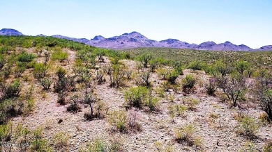 Build your Dream Home on this 4.16 Acre lot with STUNNING on Tubac Golf Resort and Spa in Arizona - for sale on GolfHomes.com, golf home, golf lot