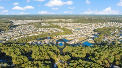 Beautiful custom-built coastal retreat that offers rare privacy on Carolina Shores Golf Course in North Carolina - for sale on GolfHomes.com, golf home, golf lot