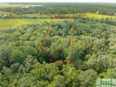 One-of-a-kind 10.5 acre, build-ready homesite within The Ford on The Ford Field and River Club  in Georgia - for sale on GolfHomes.com, golf home, golf lot