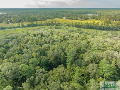 One-of-a-kind 10.5 acre, build-ready homesite within The Ford on The Ford Field and River Club  in Georgia - for sale on GolfHomes.com, golf home, golf lot