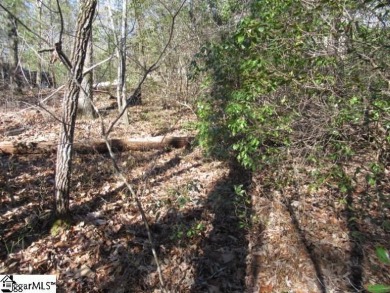 Good building lot in The Rock at Jocassee golf course looking on The Rock At Jocassee in South Carolina - for sale on GolfHomes.com, golf home, golf lot