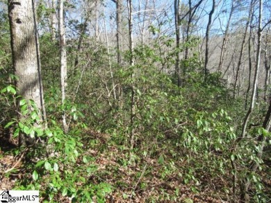 Good building lot in The Rock at Jocassee golf course looking on The Rock At Jocassee in South Carolina - for sale on GolfHomes.com, golf home, golf lot