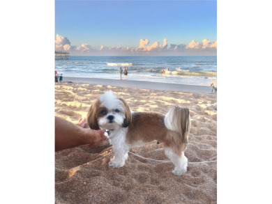 Under contract-accepting backup offers. The Crossings at Grand on Grand Haven Golf Club in Florida - for sale on GolfHomes.com, golf home, golf lot