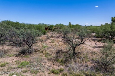 Discover the perfect setting to build your dream home on this on Tubac Golf Resort and Spa in Arizona - for sale on GolfHomes.com, golf home, golf lot