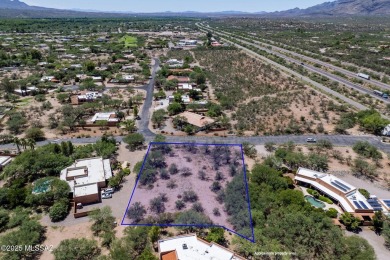 Discover the perfect setting to build your dream home on this on Tubac Golf Resort and Spa in Arizona - for sale on GolfHomes.com, golf home, golf lot