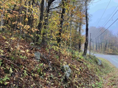 Double lot on top of the Hill! Recent soil tests say this looks on Hermitage Club Golf Course in Vermont - for sale on GolfHomes.com, golf home, golf lot