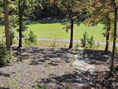 Move-in ready and priced to sell at $395,000, this 2,649 sq. ft on  in Arkansas - for sale on GolfHomes.com, golf home, golf lot
