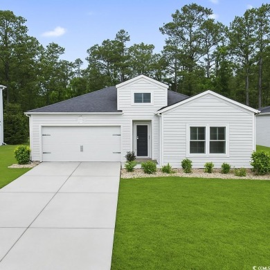 Golf Cart ride to the Beach Access!   Immaculate 4 Bed 2 Bath on Wicked Stick Golf Club in South Carolina - for sale on GolfHomes.com, golf home, golf lot