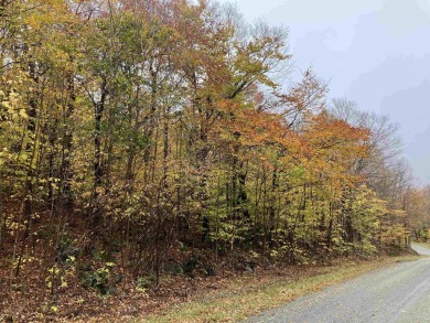 Double lot on top of the Hill! Recent soil tests say this looks on Hermitage Club Golf Course in Vermont - for sale on GolfHomes.com, golf home, golf lot