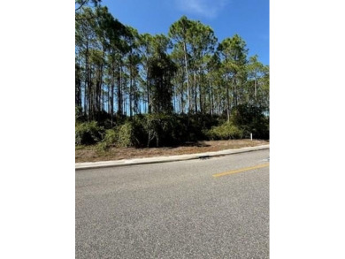 This high and dry lot overlooks a pond and the 12th green on St. James Bay in Florida - for sale on GolfHomes.com, golf home, golf lot