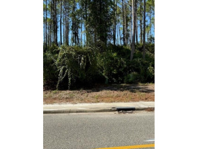 This high and dry lot overlooks a pond and the 12th green on St. James Bay in Florida - for sale on GolfHomes.com, golf home, golf lot