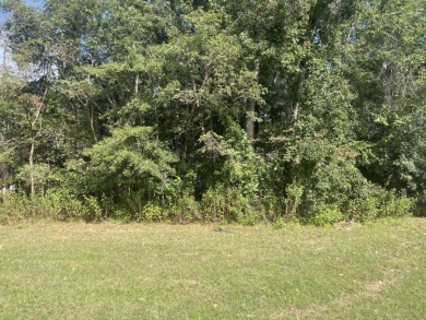 Golf & Equestrian Community Homesite at Mount Vintage
If you're on Mount Vintage Plantation and Golf Club  in South Carolina - for sale on GolfHomes.com, golf home, golf lot