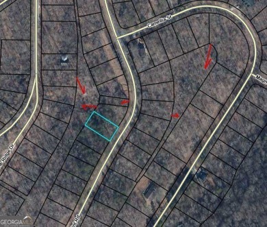 With its generally flat terrain, this lot is an ideal setting on The Trail At Chickasaw Pointe in South Carolina - for sale on GolfHomes.com, golf home, golf lot