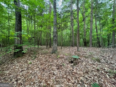 With its generally flat terrain, this lot is an ideal setting on The Trail At Chickasaw Pointe in South Carolina - for sale on GolfHomes.com, golf home, golf lot