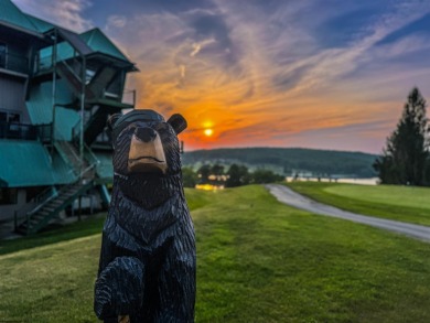 Your Future Cabin or Forever Home Starts Here!  Escape to the on Alpine Lake Resort in West Virginia - for sale on GolfHomes.com, golf home, golf lot