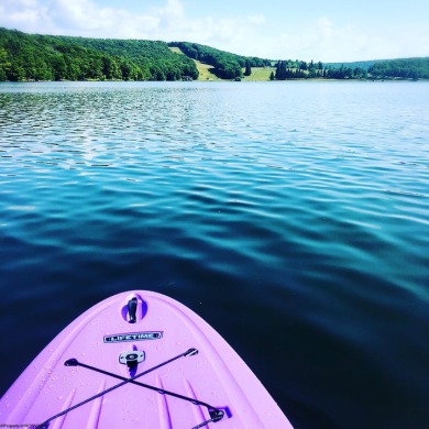 Your Future Cabin or Forever Home Starts Here!  Escape to the on Alpine Lake Resort in West Virginia - for sale on GolfHomes.com, golf home, golf lot
