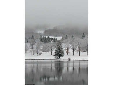 Your Future Cabin or Forever Home Starts Here!  Escape to the on Alpine Lake Resort in West Virginia - for sale on GolfHomes.com, golf home, golf lot