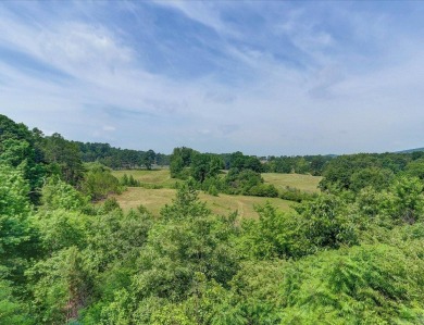 A chance to buy a piece of history! This rare 4BR/3BA condo is on Belvedere Golf Club in Arkansas - for sale on GolfHomes.com, golf home, golf lot
