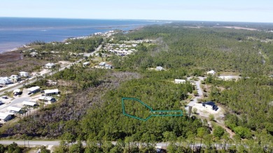 New opportunity to own land near the Port St Joe Golf Course and on Saint Josephs Bay Country Club in Florida - for sale on GolfHomes.com, golf home, golf lot