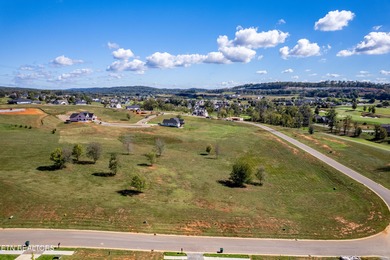 Build your dream home on this desirable build-ready lot inside on Tennessee National Golf Club in Tennessee - for sale on GolfHomes.com, golf home, golf lot