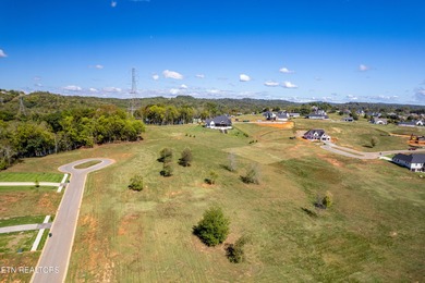 Build your dream home on this desirable build-ready lot inside on Tennessee National Golf Club in Tennessee - for sale on GolfHomes.com, golf home, golf lot