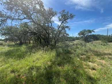 Build Your Dream Home in King's Point Cove - 0.38+- Acre Corner on Hideout Golf Club and Resort  in Texas - for sale on GolfHomes.com, golf home, golf lot