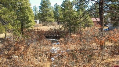 Kade Stewart, Sherpa Real Estate, C: , kade,  : Great lot with on Pagosa Springs Golf Club in Colorado - for sale on GolfHomes.com, golf home, golf lot