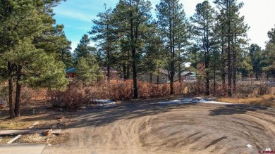 Kade Stewart, Sherpa Real Estate, C: , kade,  : Great lot with on Pagosa Springs Golf Club in Colorado - for sale on GolfHomes.com, golf home, golf lot