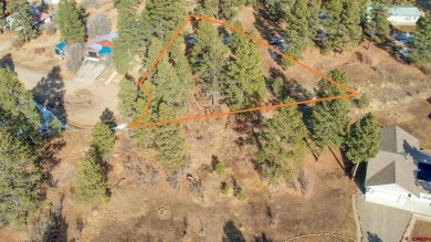 Kade Stewart, Sherpa Real Estate, C: , kade,  : Great lot with on Pagosa Springs Golf Club in Colorado - for sale on GolfHomes.com, golf home, golf lot