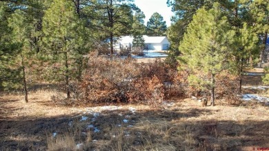 Kade Stewart, Sherpa Real Estate, C: , kade,  : Great lot with on Pagosa Springs Golf Club in Colorado - for sale on GolfHomes.com, golf home, golf lot