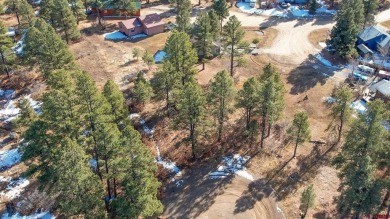 Kade Stewart, Sherpa Real Estate, C: , kade,  : Great lot with on Pagosa Springs Golf Club in Colorado - for sale on GolfHomes.com, golf home, golf lot