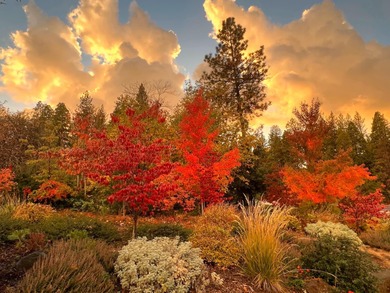 Pride of ownership abounds in this privately located gem in the on Forest Meadows Golf Course in California - for sale on GolfHomes.com, golf home, golf lot